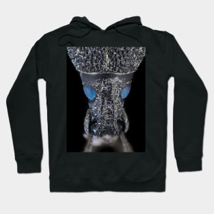 Weevil beetle under the microscope Hoodie